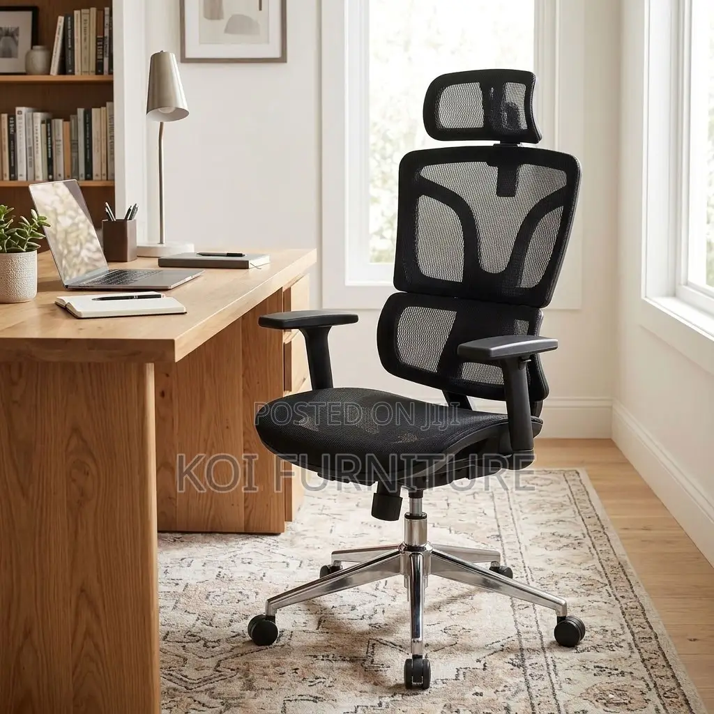 Ergonomic Chair : Executive Orthopedic Mesh Office Chair