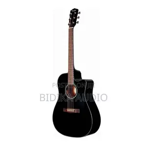 Fender Semi Acoustic Guitars