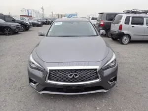 Nissan Skyline 2019 Gray