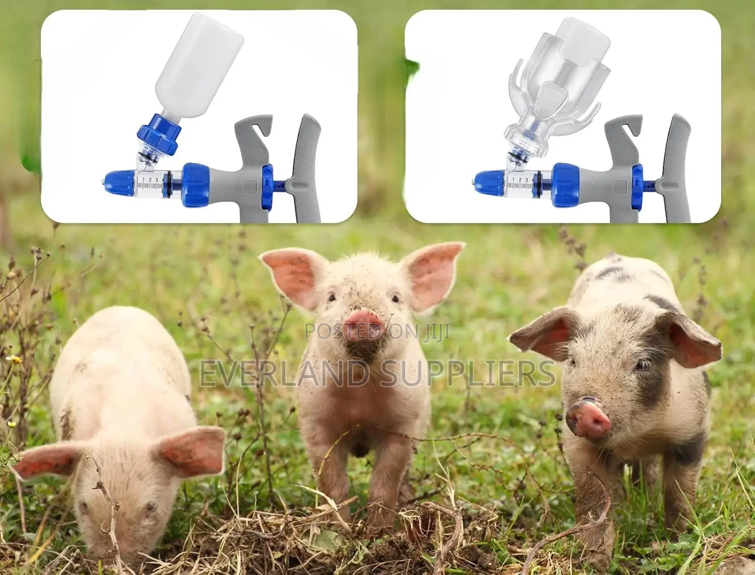 Farm-Ready Vaccination Equipment - 1ml