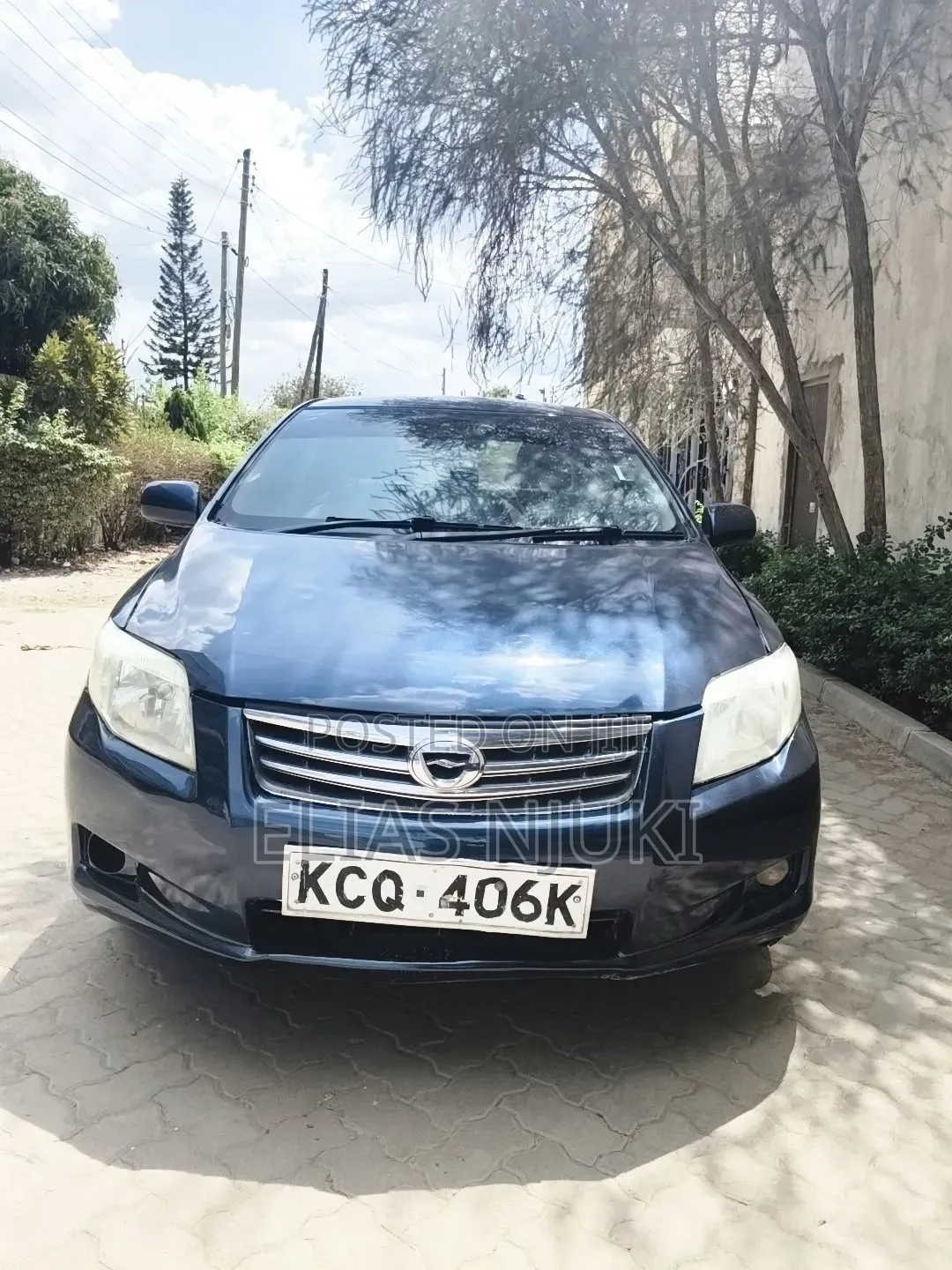 Toyota Axio 2010 Blue