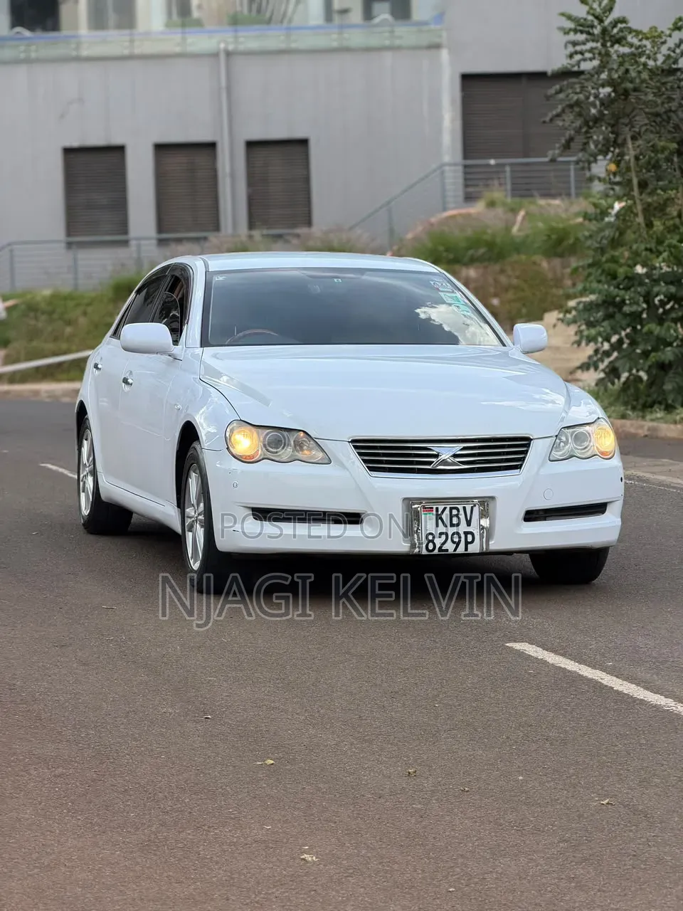 Toyota Mark X 2006 White