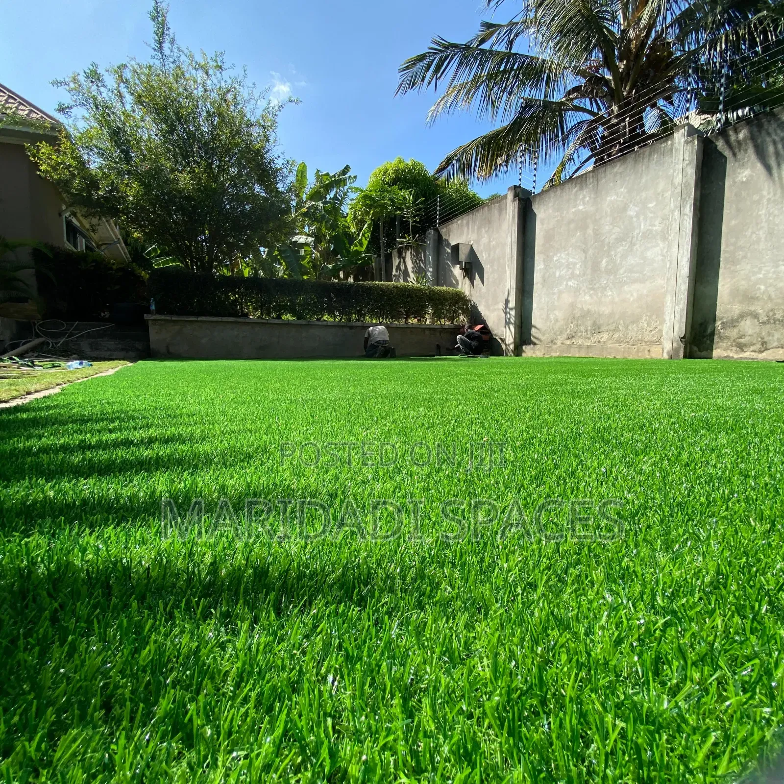 Say Hello to Our Stunning Greenery With Our Artificial Grass Carpet