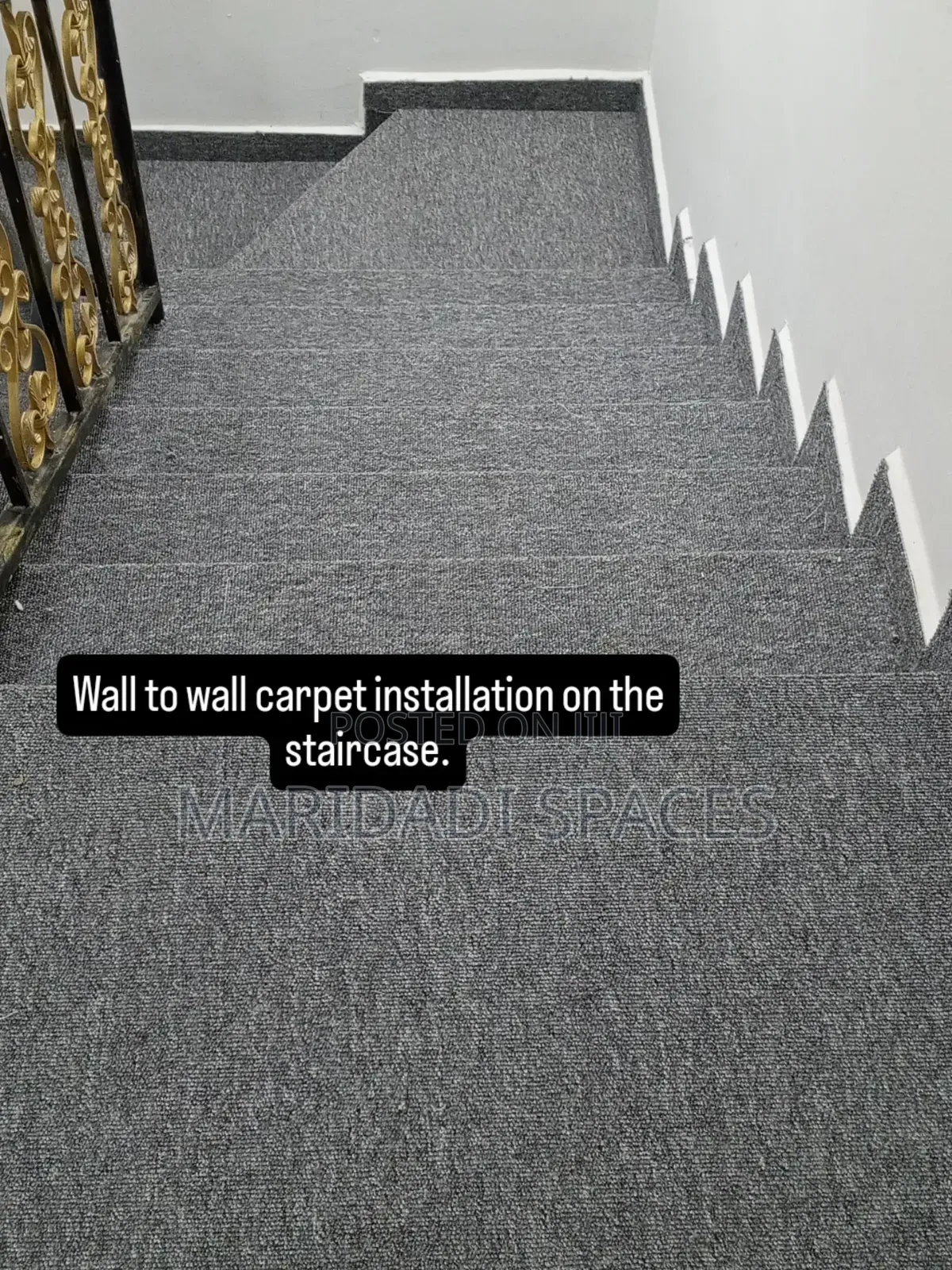 Grey Delta Carpet With a Budget Friendly Price