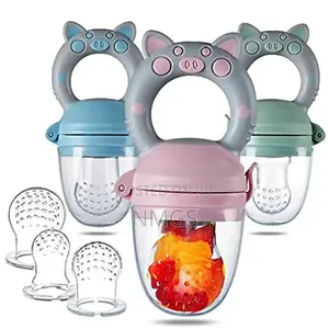 Fruit Pacifier