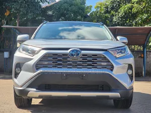 Toyota RAV4 Limited AWD 2019 Silver