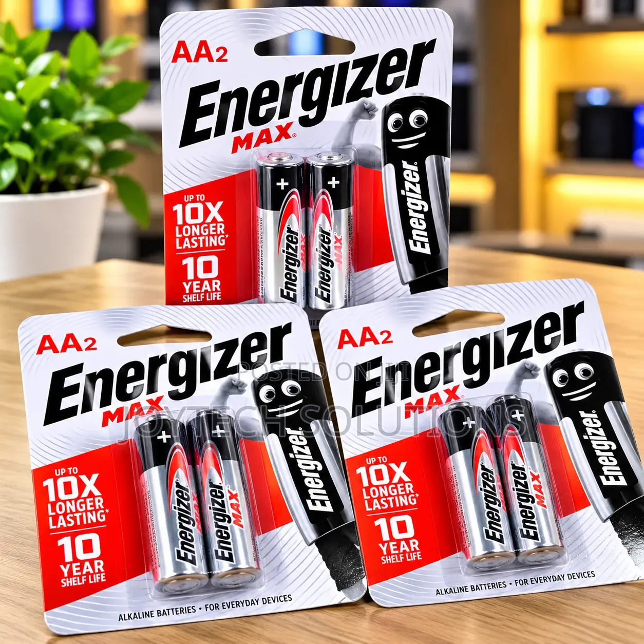 Double AA Alkaline Batteries 2-Pack for Everyday Electronic Devices