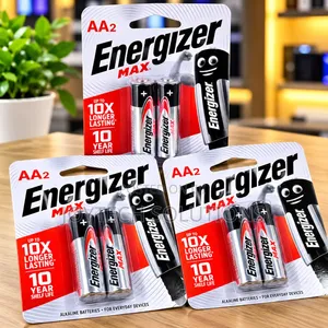 Double AA Alkaline Batteries 2-Pack for Everyday Electronic Devices