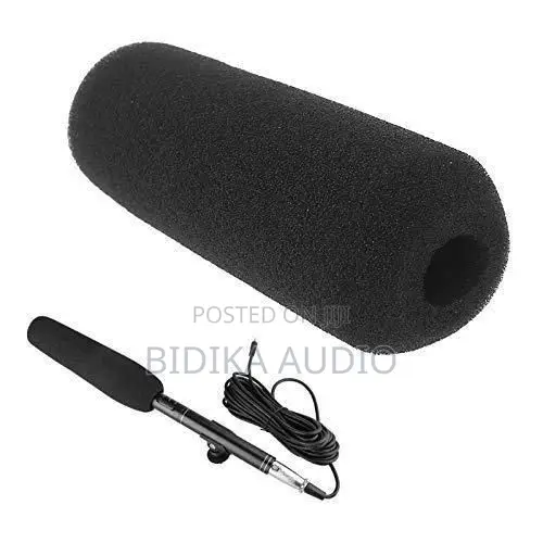 Bn Microphone Pro Camera Camcorder Shotgun Condenser Microphone