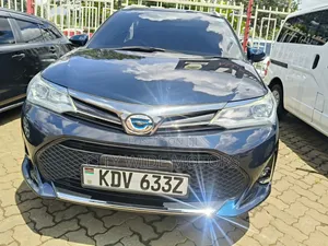 Toyota Corolla Fielder 1.5 Petrol AWD 2019 Black