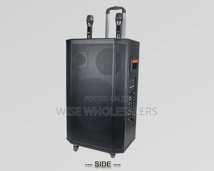 15-Inch Rechargeable Trolley Speaker