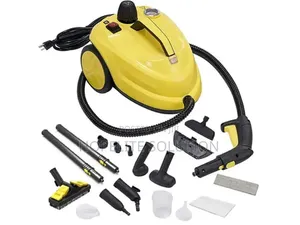 Commercial/Home Steam Cleaner