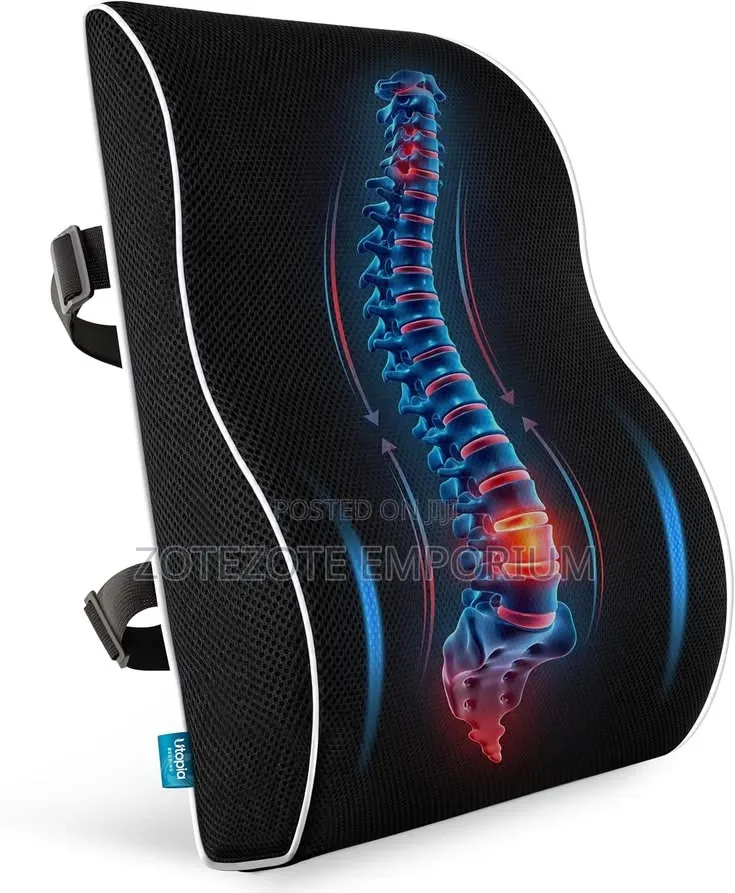 Memory Foam Back Cushion