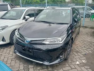 Toyota Corolla Fielder 2019 Black