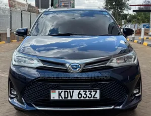 Toyota Corolla Fielder 2019 Black