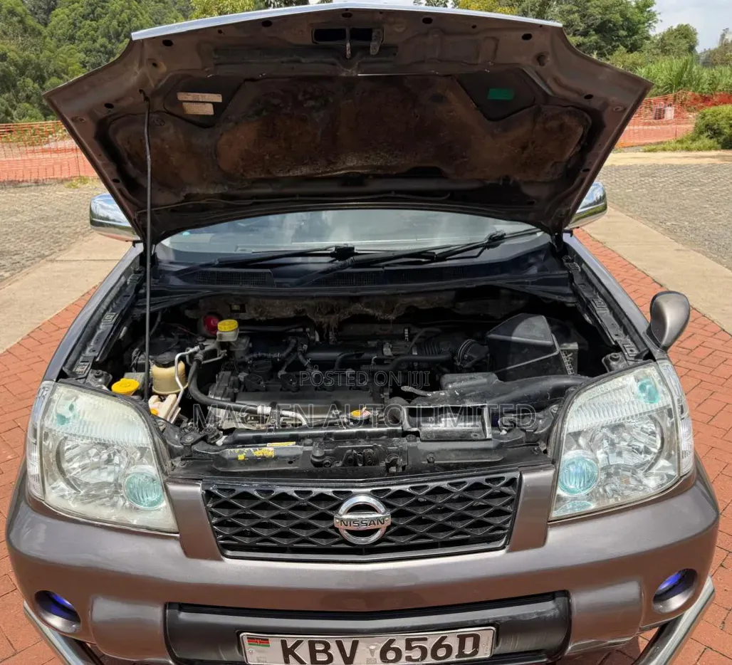 Nissan X-Trail 2007 Gray