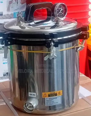Medical Autoclave Sterilizer Machine for Clinics and Laboratories(24l)