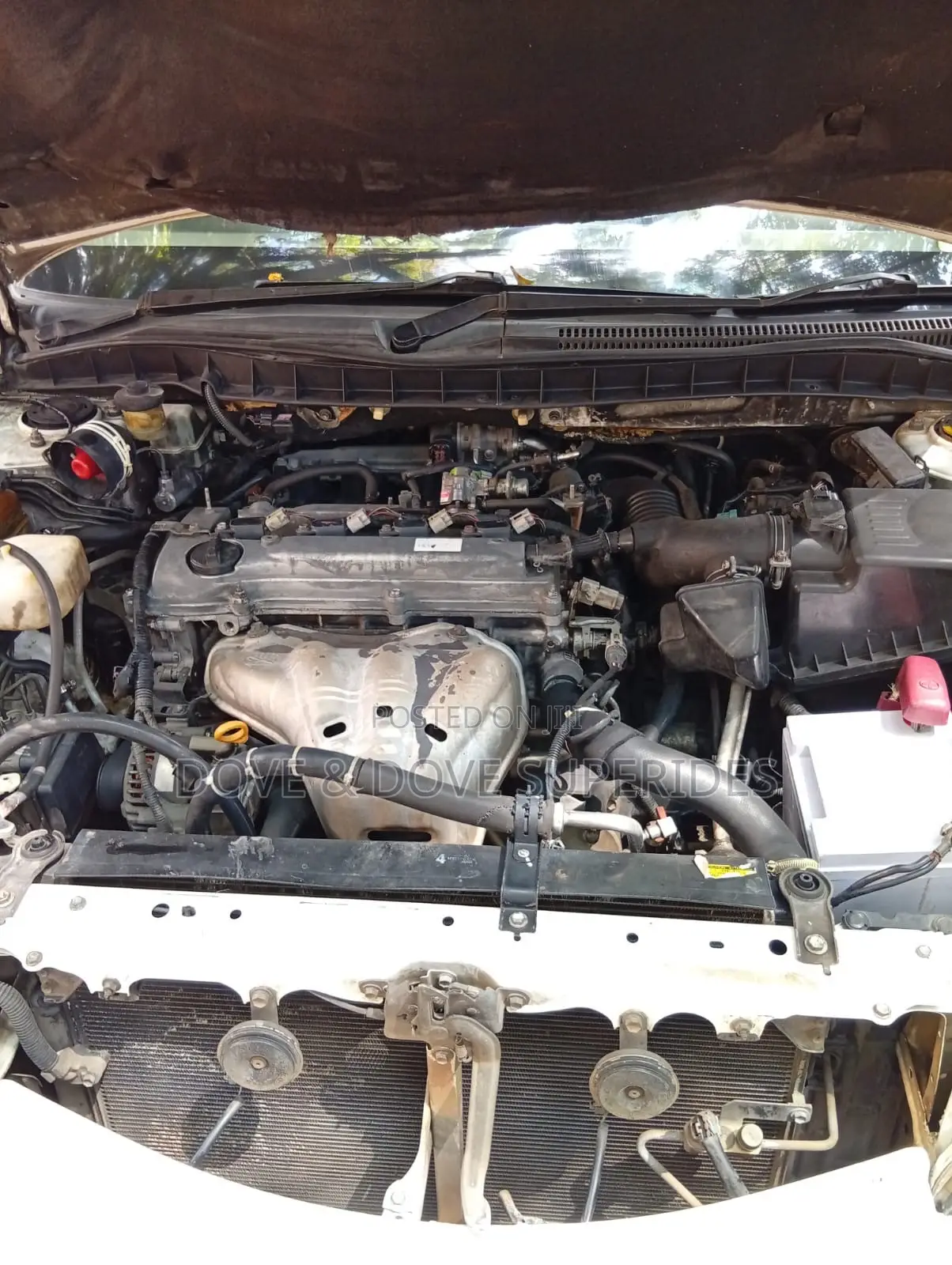 Toyota Allion 2006 White