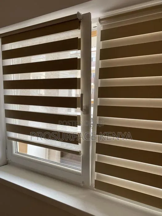 Dual Layer Zebra Blinds for Stylish Window Coverings