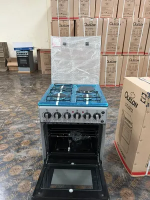 Olelon 50×55cm Standing Cooker – Silver