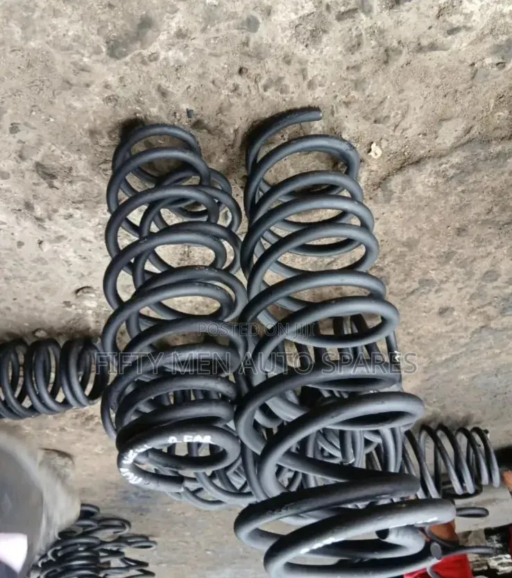 Volkswagen Passat Heavy Duty Springs
