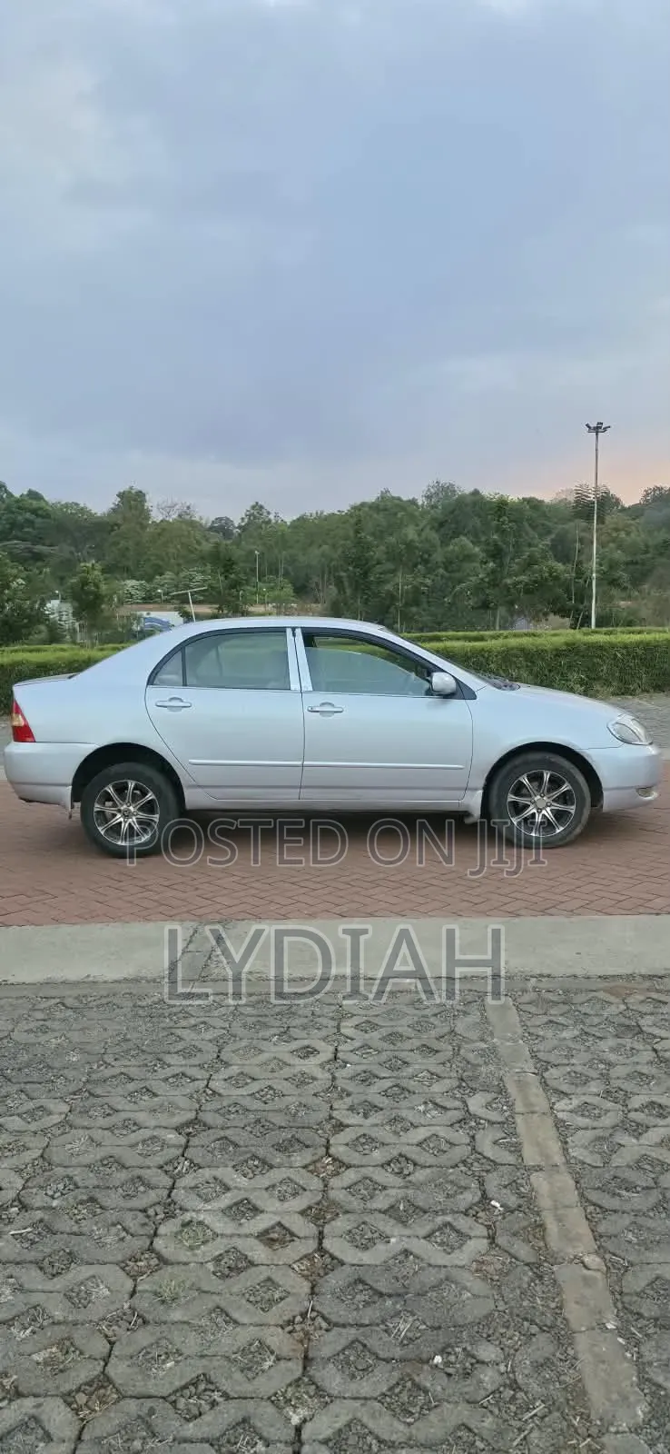 Toyota Corolla 2003 Silver