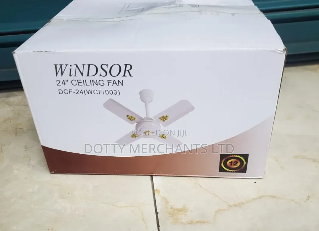 24-Inch Windsor Ceiling Fan