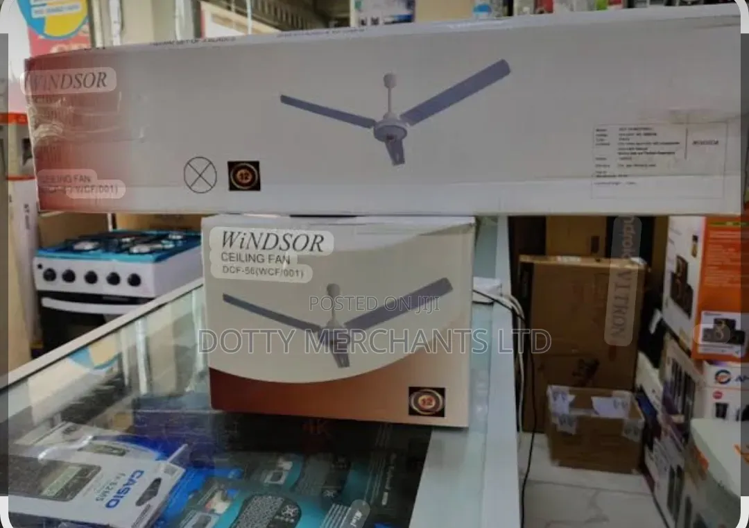 24-Inch Windsor Ceiling Fan