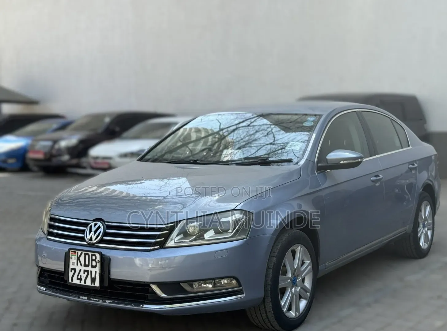 Volkswagen Passat 2013 Blue