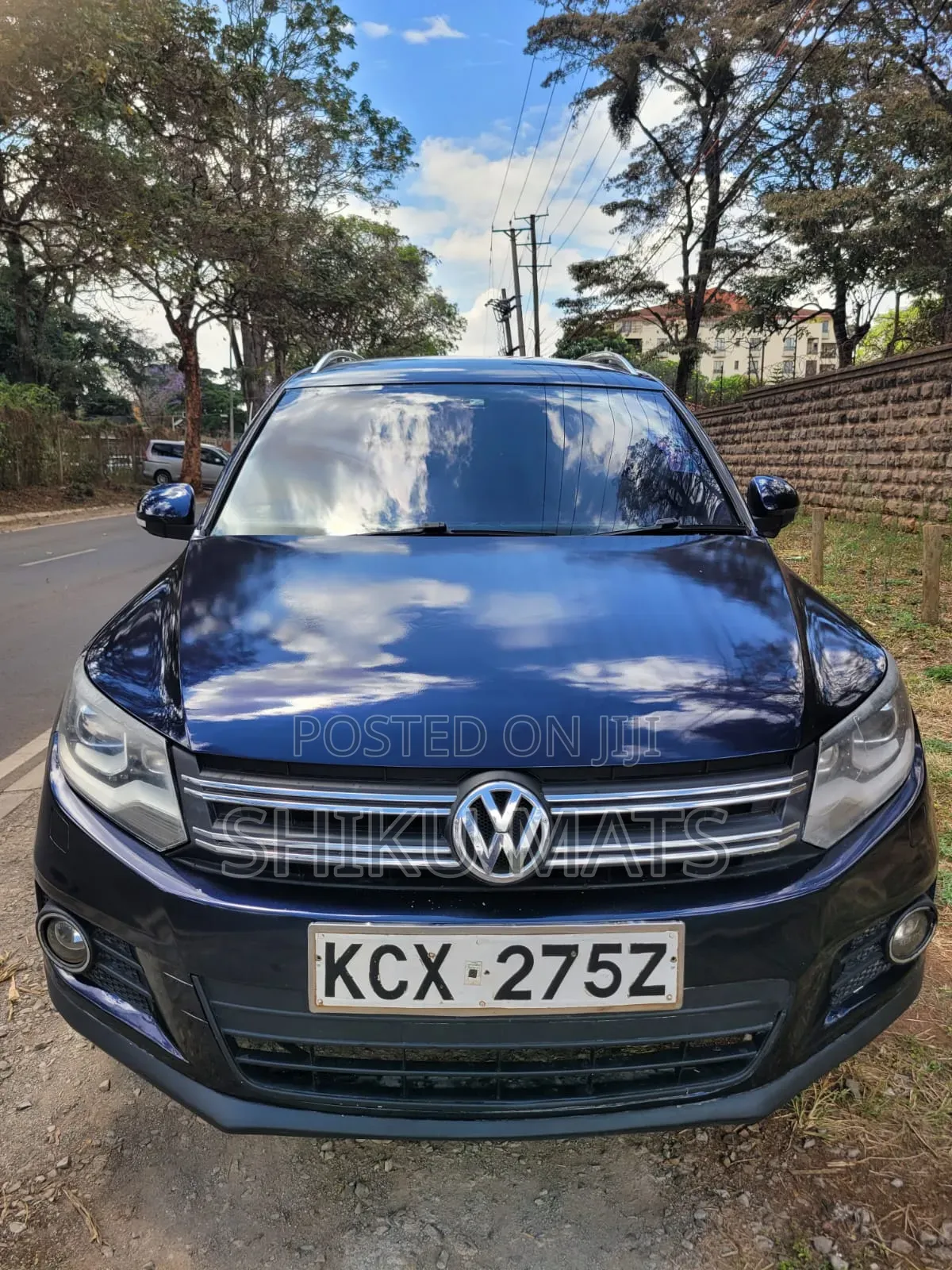Volkswagen Tiguan 2013 Blue