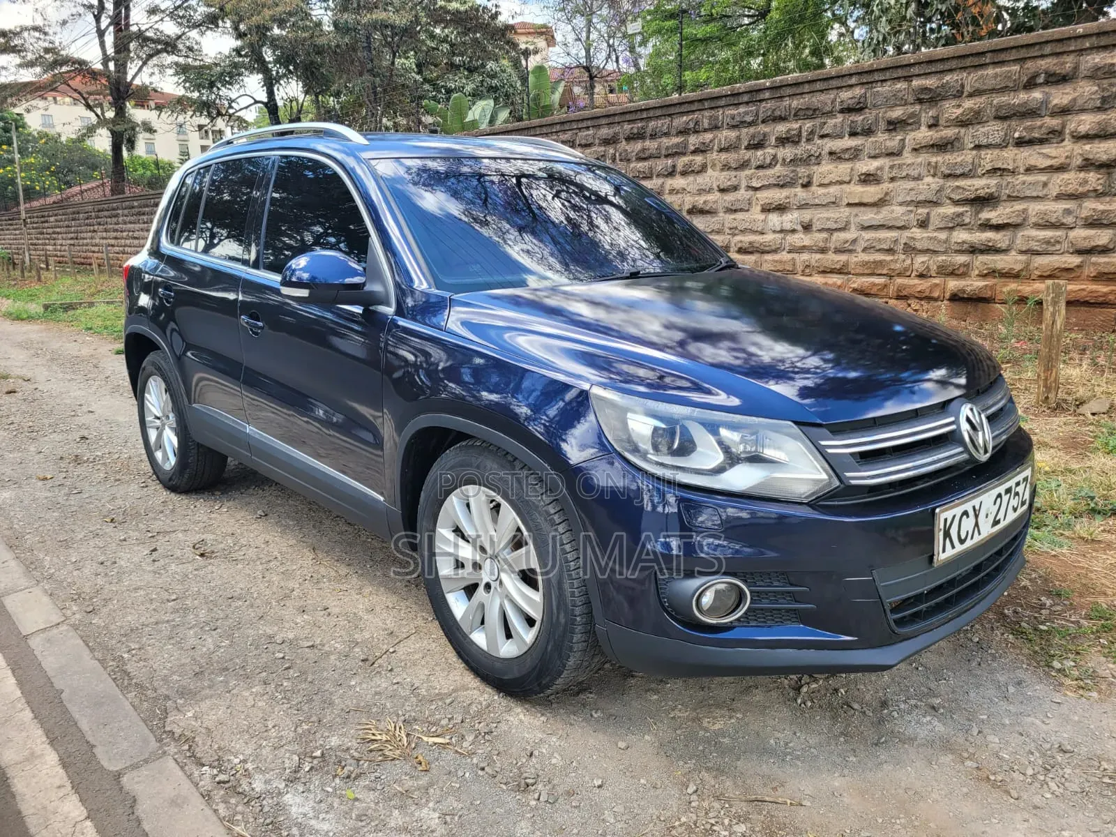 Volkswagen Tiguan 2013 Blue