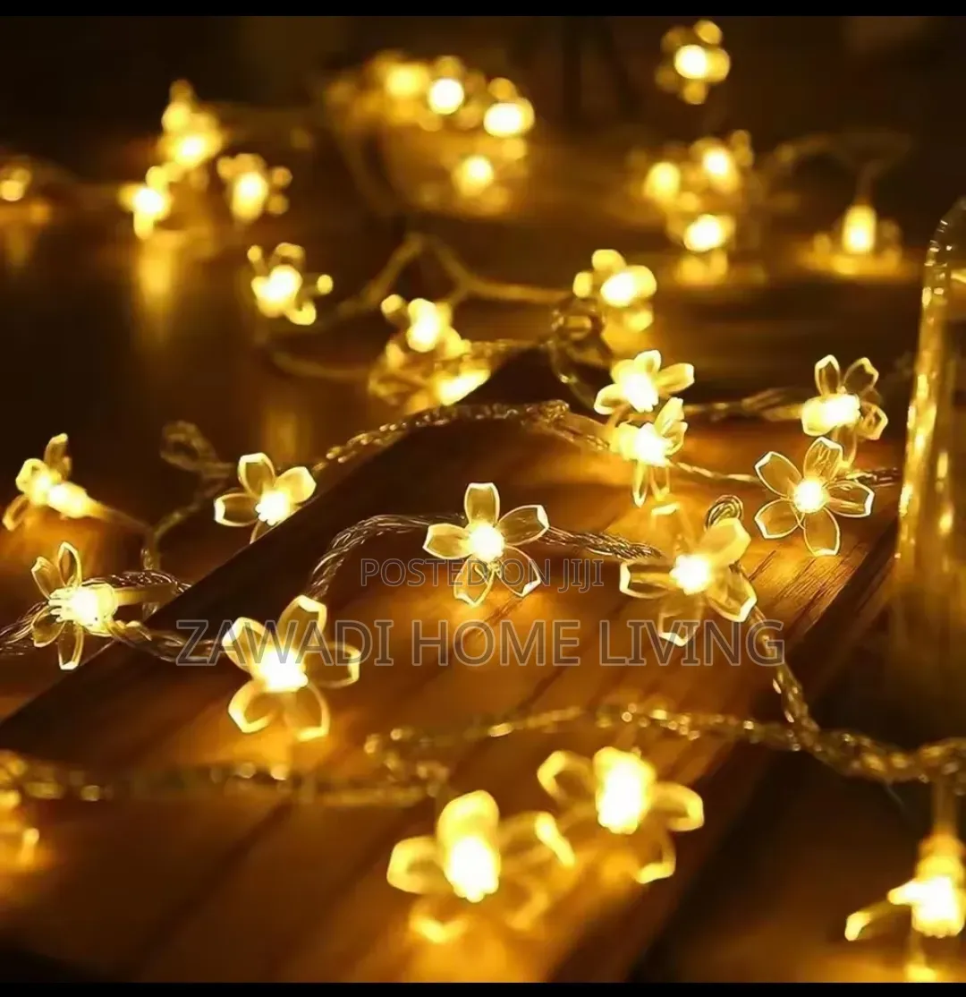 10M Flower Shaped Christmas Lights With Remote
