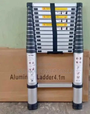 Telescopic Ladder