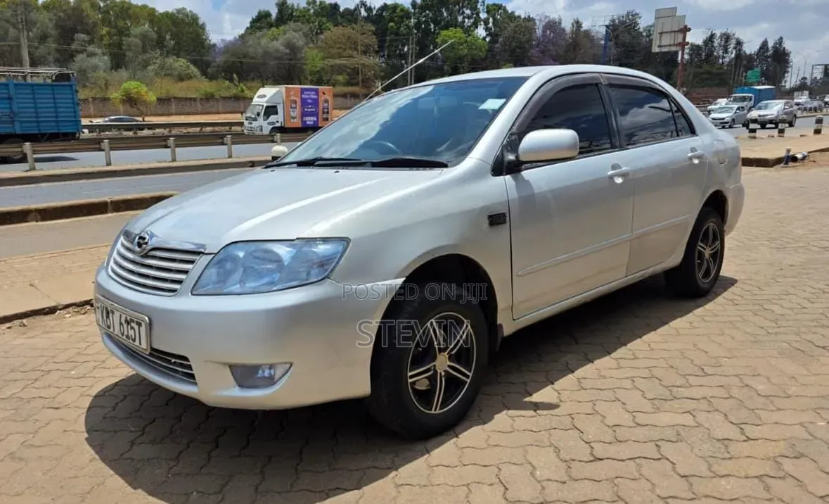 Toyota Corolla Fielder 2008 Silver
