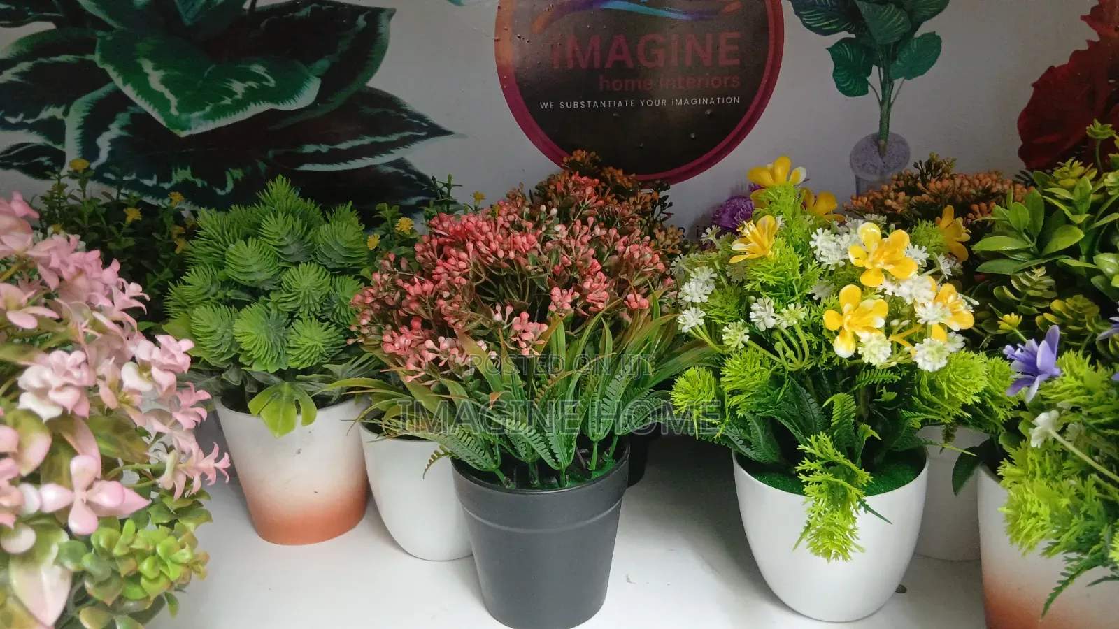 Unique Office Flowers
