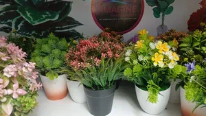 Unique Office Flowers