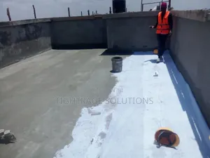 Roof Leak Protection Solutions