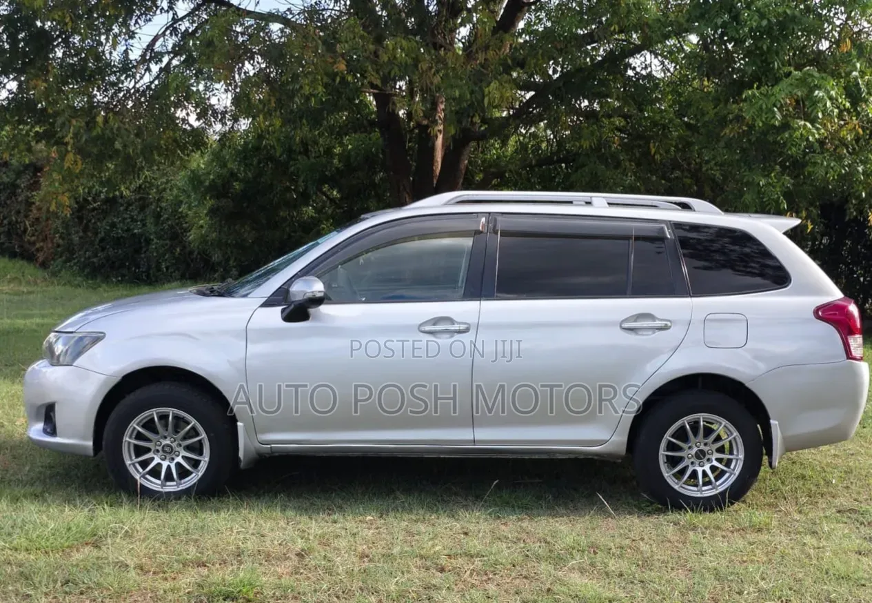 Toyota Corolla Fielder 2013 Silver