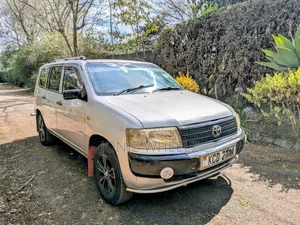 Toyota Probox 1.5 DX 2WD 2008 Silver
