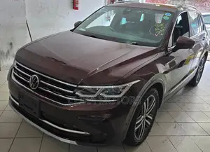 Volkswagen Tiguan 2.0T S 2021 Brown