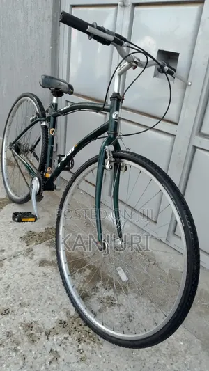 Roadbikes and Cruisers