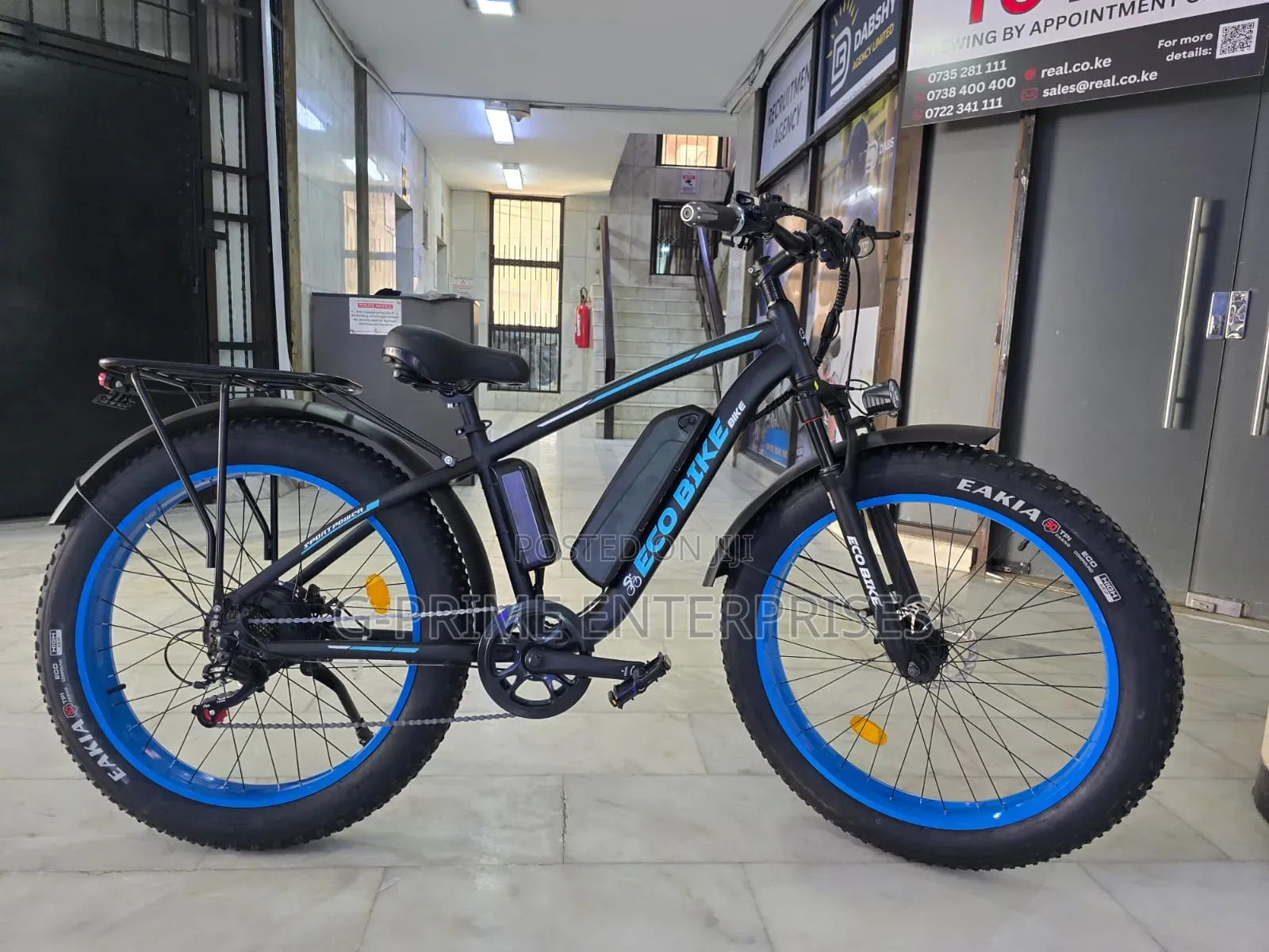 Electric Bike Eco Bike Fat Tire