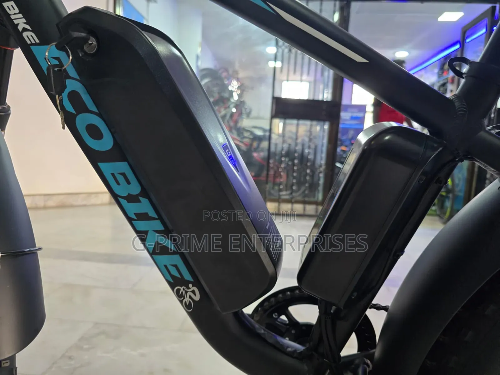 Electric Bike Eco Bike Fat Tire