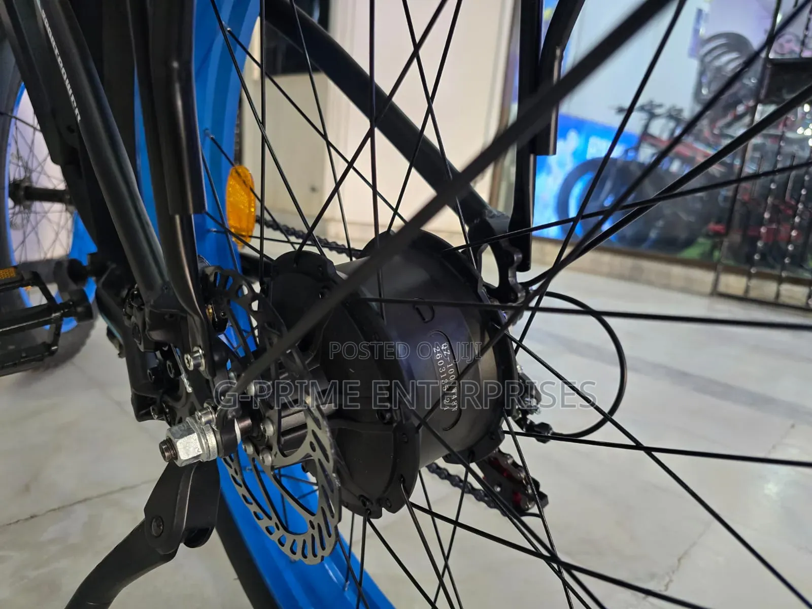 Electric Bike Eco Bike Fat Tire