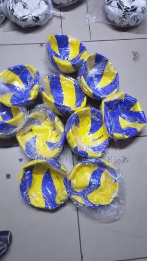 Mikasa Volleyball – High Quality Professional Training Ball