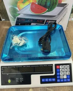 ACS-40 Electronic Armless Commercial Weighing Machine