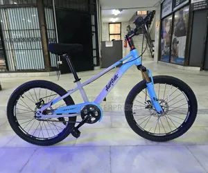 BDF Sport Edition Junior Mountain Bike Size 22