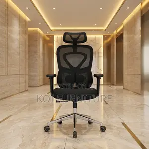 Adjustable Orthopedic Seat | Executive Manager Dual Backrest Chair