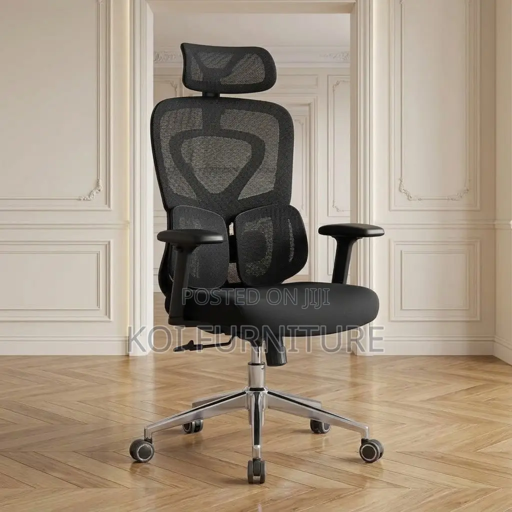 Adjustable Orthopedic Seat | Executive Manager Dual Backrest Chair