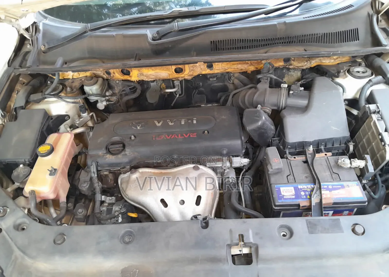 Toyota Vanguard 2011 White